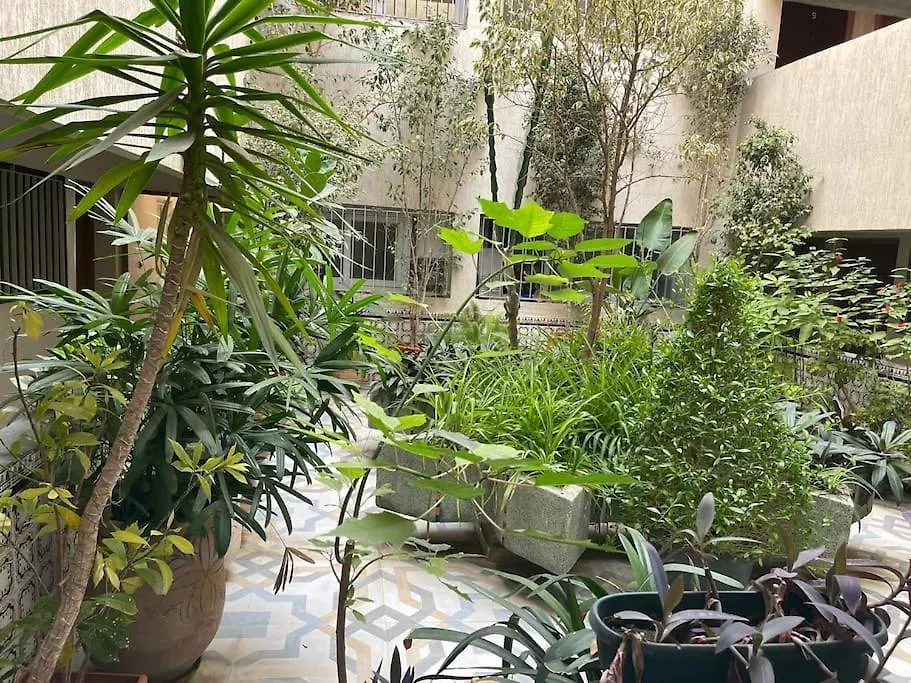 Daire Appartement Au Hyper Centre Cosy Et Typique Agadir